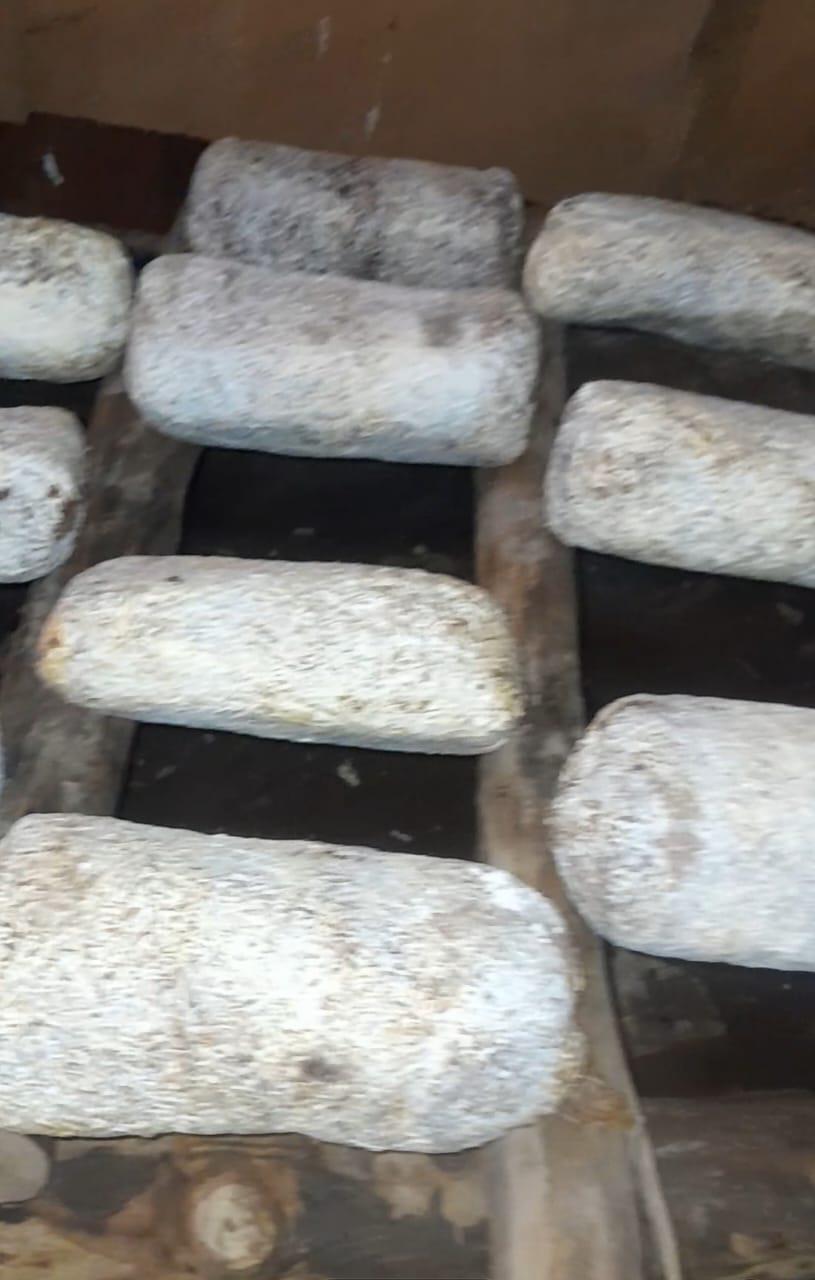 6. Setting up the gardens Nov 2025