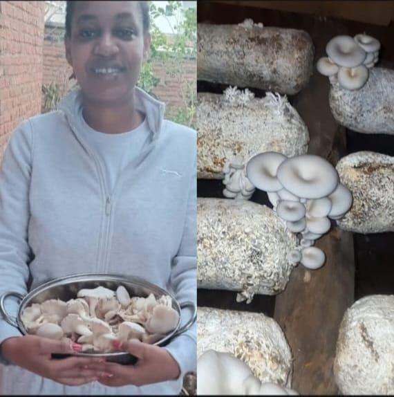 7. Production and Harvesting December 2025